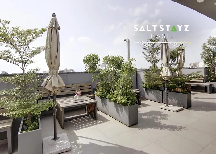 Saltstayz Basil - Near Golf Course Road & Extension Road